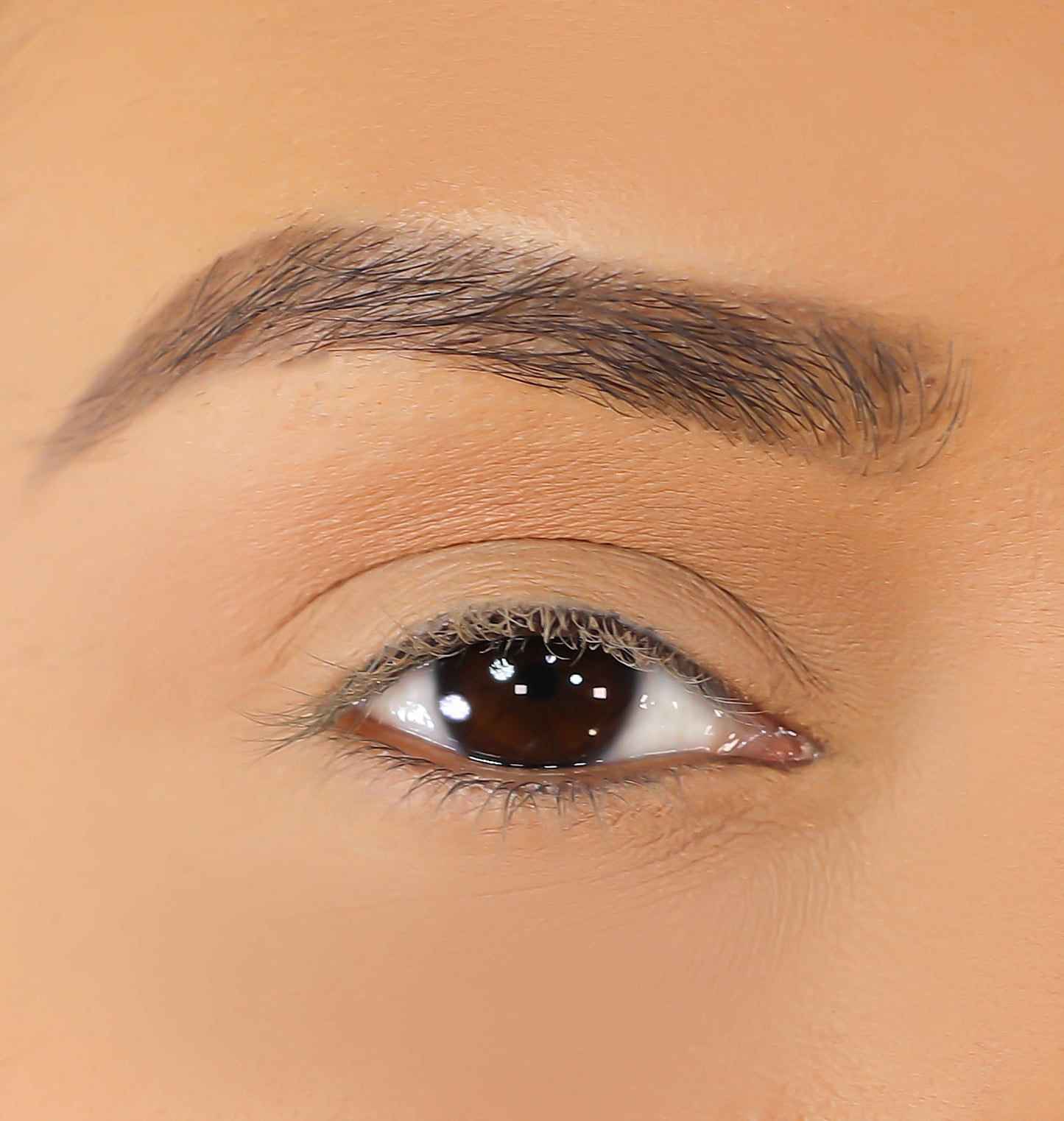 Lurella Cosmetics - 3D Mink Eyelashes - Nina