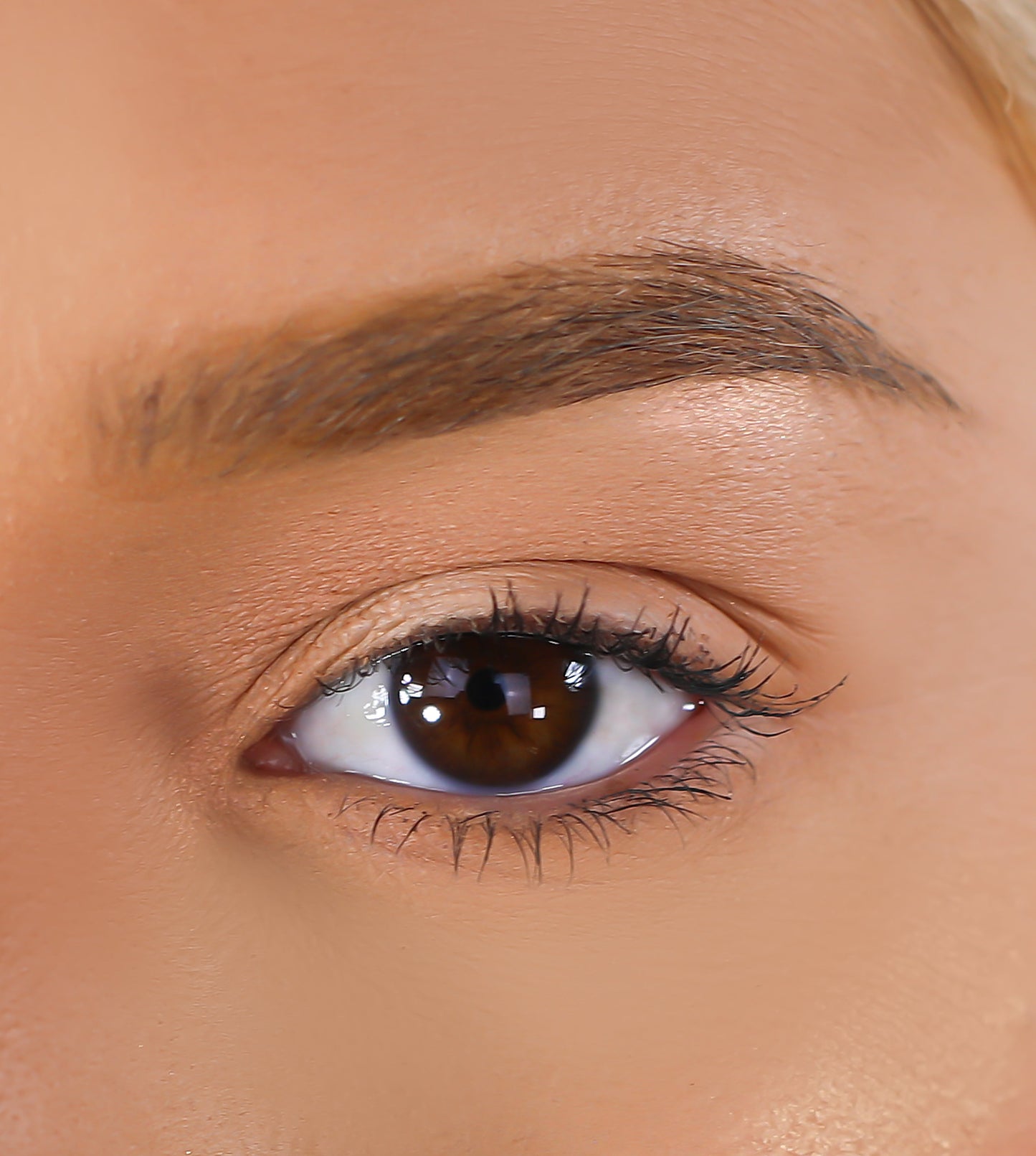 Lurella Cosmetics - 3D Mink Eyelashes - Cece