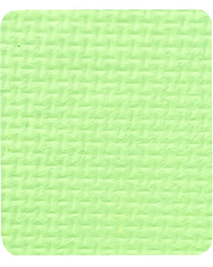 Gavissi Beauty - "KEY LIME" SINGLE LINER PAN (UV)