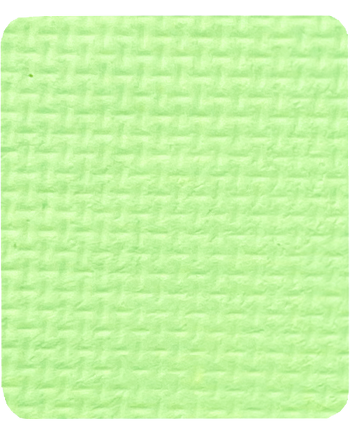 Gavissi Beauty - "KEY LIME" SINGLE LINER PAN (UV)