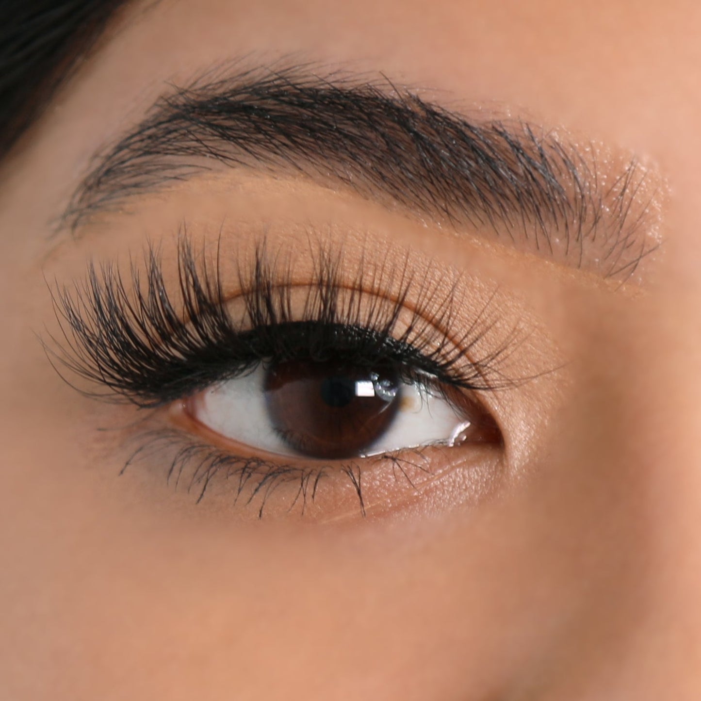 Lurella Cosmetics - 3D Mink Eyelashes - Limitless