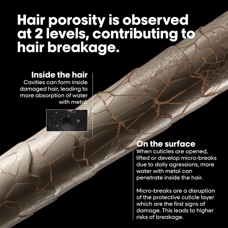 L'Oréal Professionnel Metal Detox Pre-Shampoo Treatment